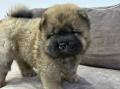 Gyors és nagyon biztonságos pénzügyi támogatás , Mihaelacourtir@gmail.com , 